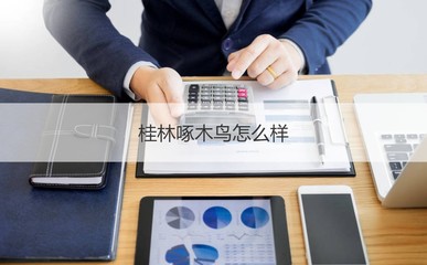 桂林啄木鸟 一家专注电子产品的本地企业探析